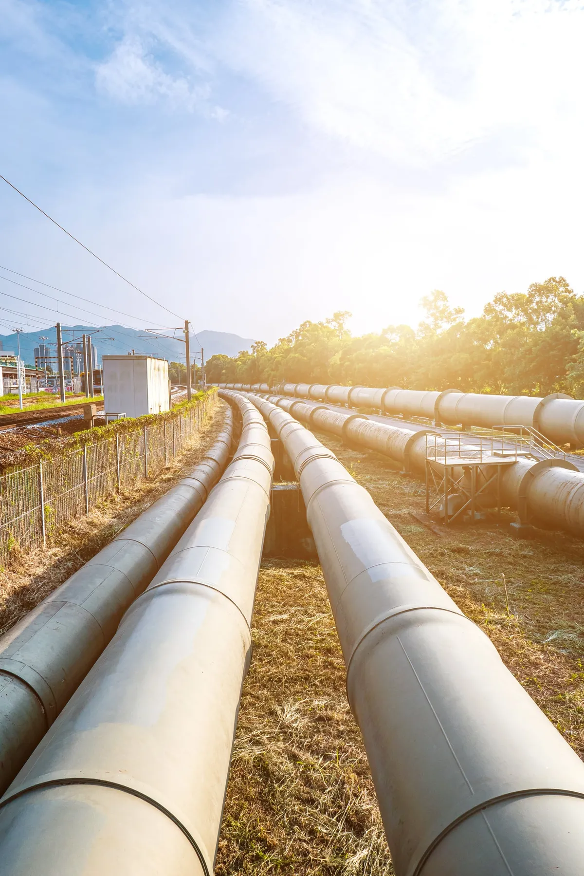 Two large steel pipelines running across open land toward the horizon in warm sunlight